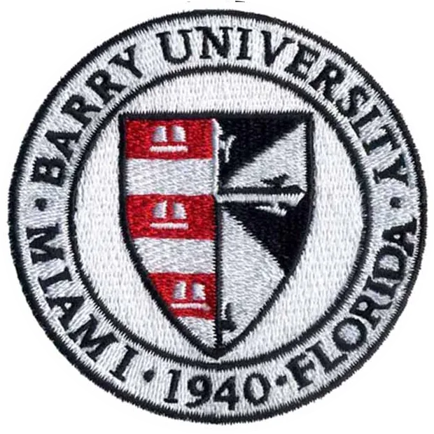 Patch Nakış örneği